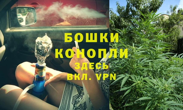 ГАЛЛЮЦИНОГЕННЫЕ ГРИБЫ Алзамай