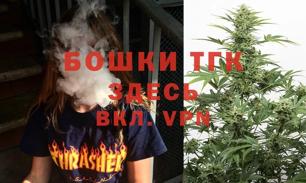 ГАЛЛЮЦИНОГЕННЫЕ ГРИБЫ Алзамай