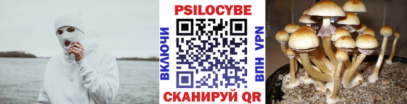 Галлюциногенные грибы мухоморы  Чебаркуль 